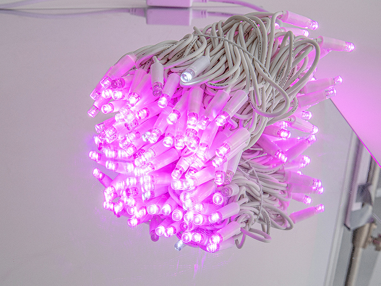 灌胶直线灯 粉色